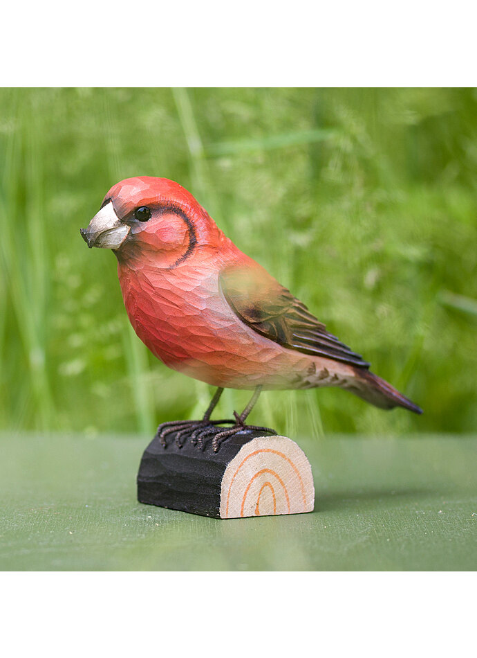 FICHTENKREUZSCHNABEL - HAND- GESCHNITZTER VOGEL AUS HOLZ Bild 4