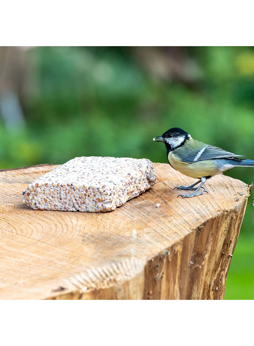 ENERGIEBLOCK MIT INSEKTEN 350 G Bild 2