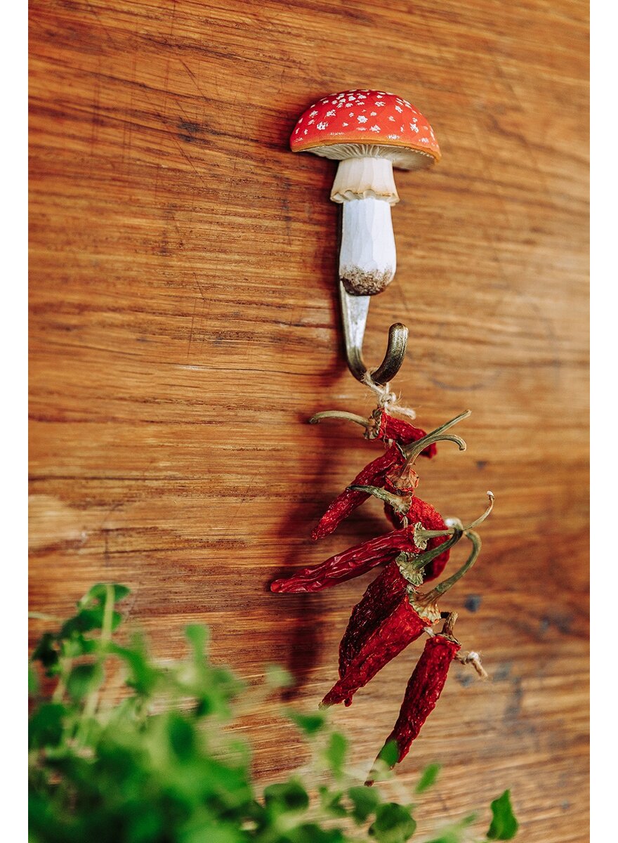 WANDHAKEN FLIEGENPILZ Bild 4