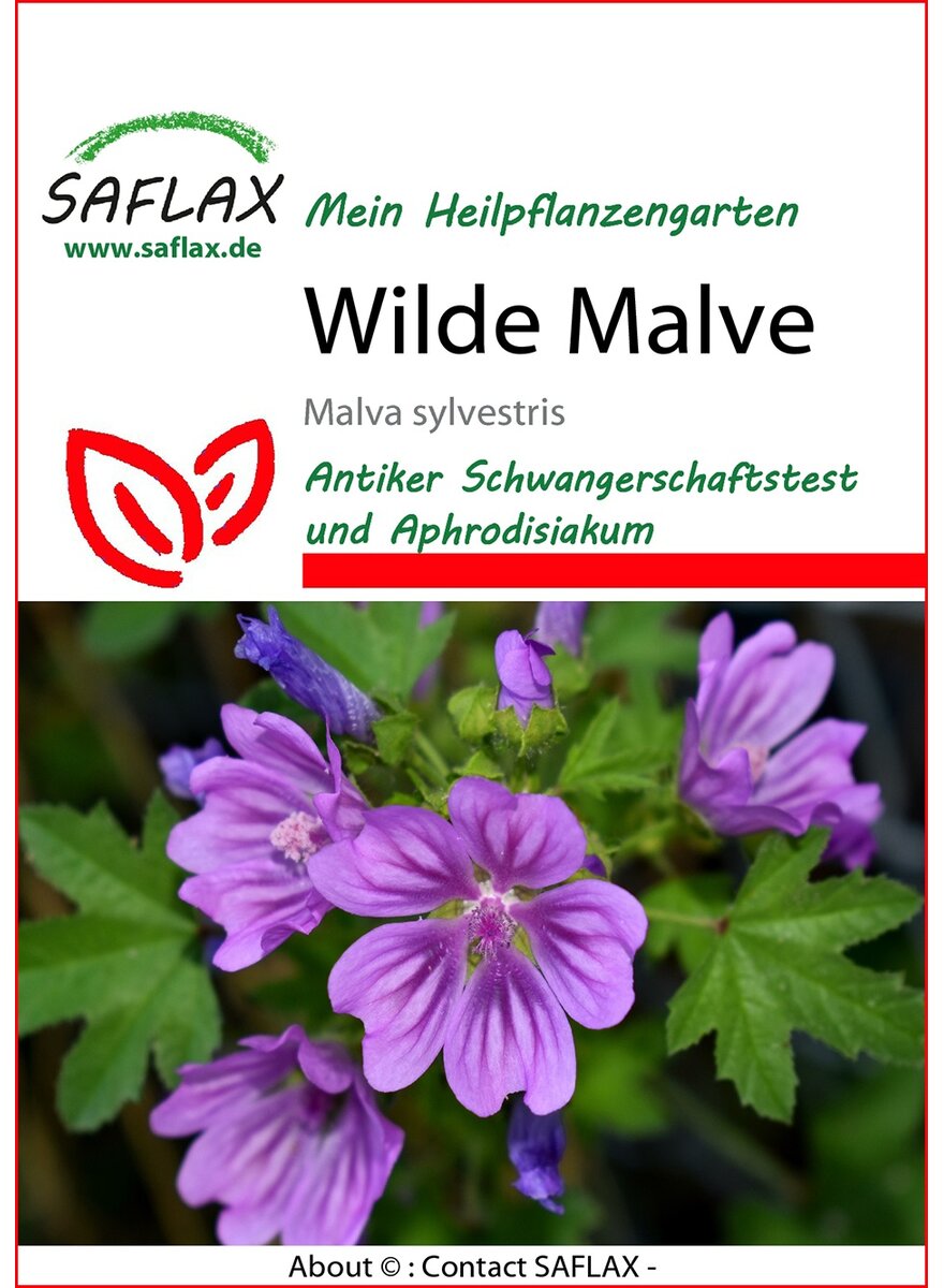 Auf diesem Bild sehen Sie das Produktbild 1 fr PFLANZENSAMEN WILDE MALVE