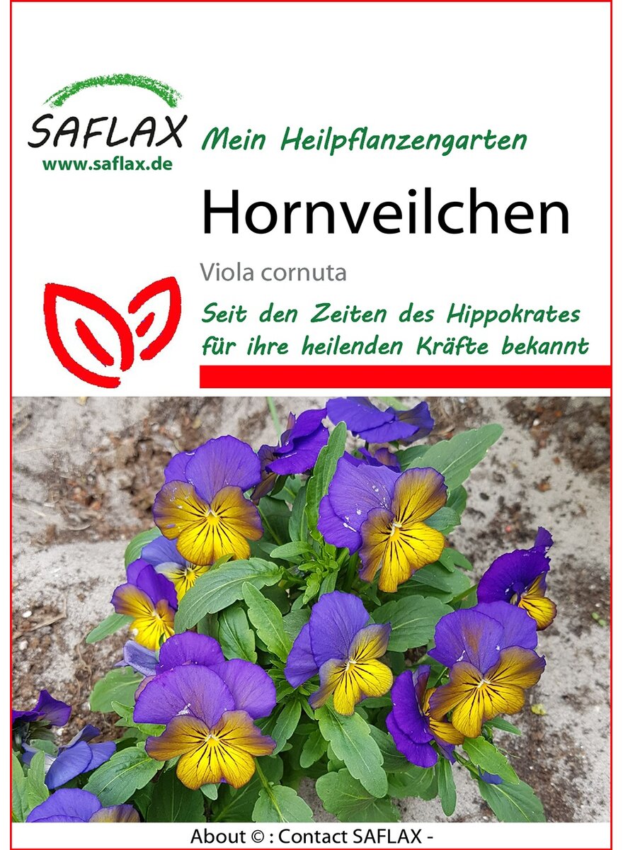 Auf diesem Bild sehen Sie das Produktbild 1 fr PFLANZENSAMEN HORNVEILCHEN-MIX