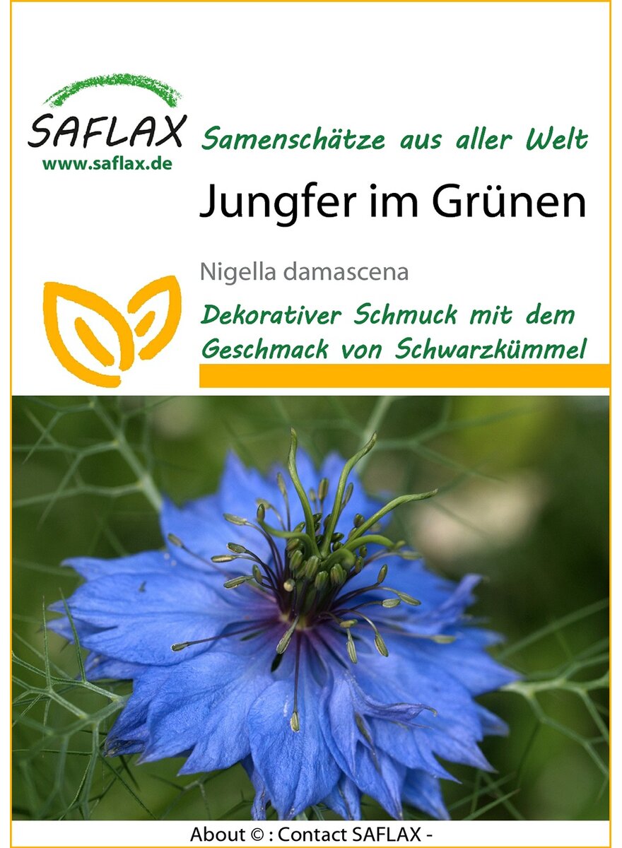 SAATGUT JUNGFER IM GRNEN