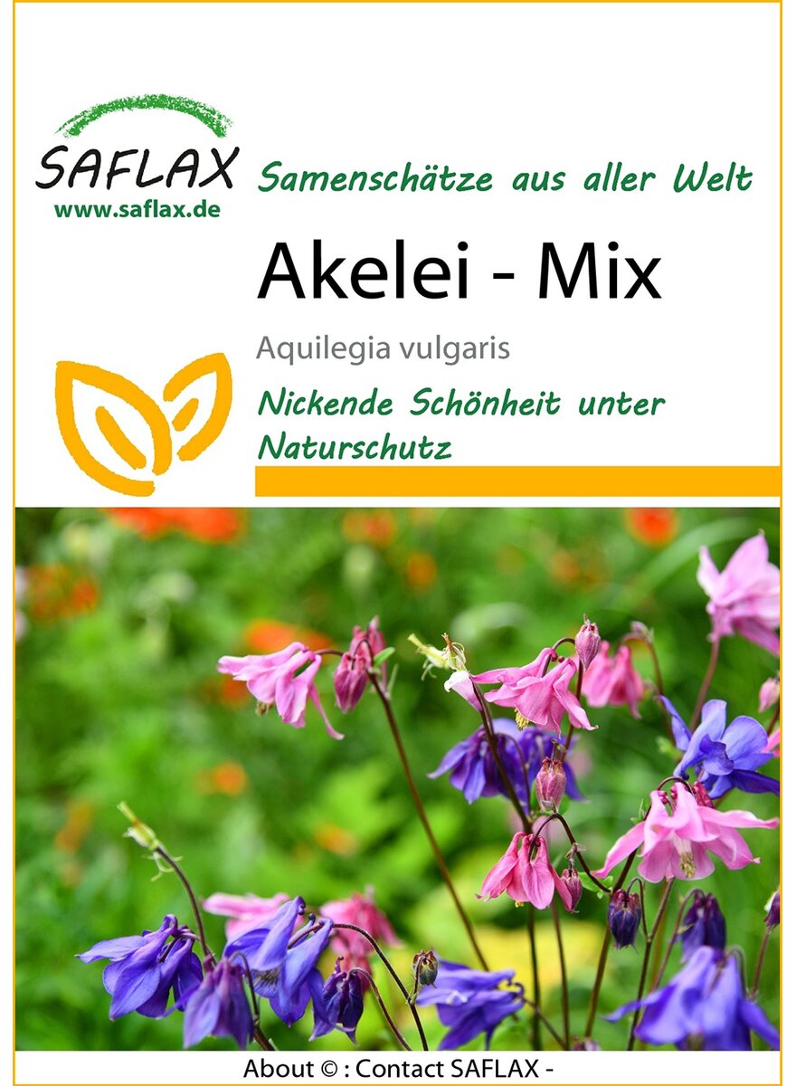 Auf diesem Bild sehen Sie das Produktbild 1 fr PFLANZENSAMEN AKELEI-MIX