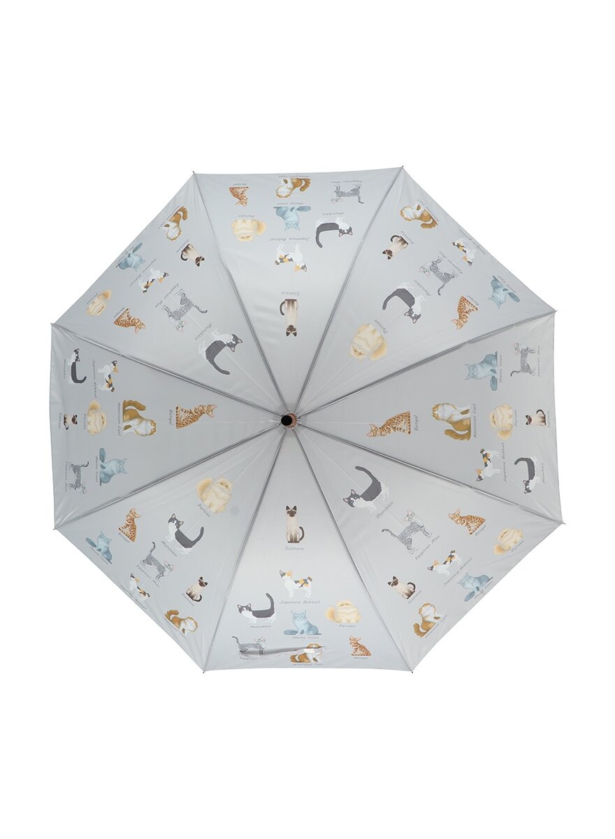 Auf diesem Bild sehen Sie das Produktbild 1 fr REGENSCHIRM KATZENRASSEN