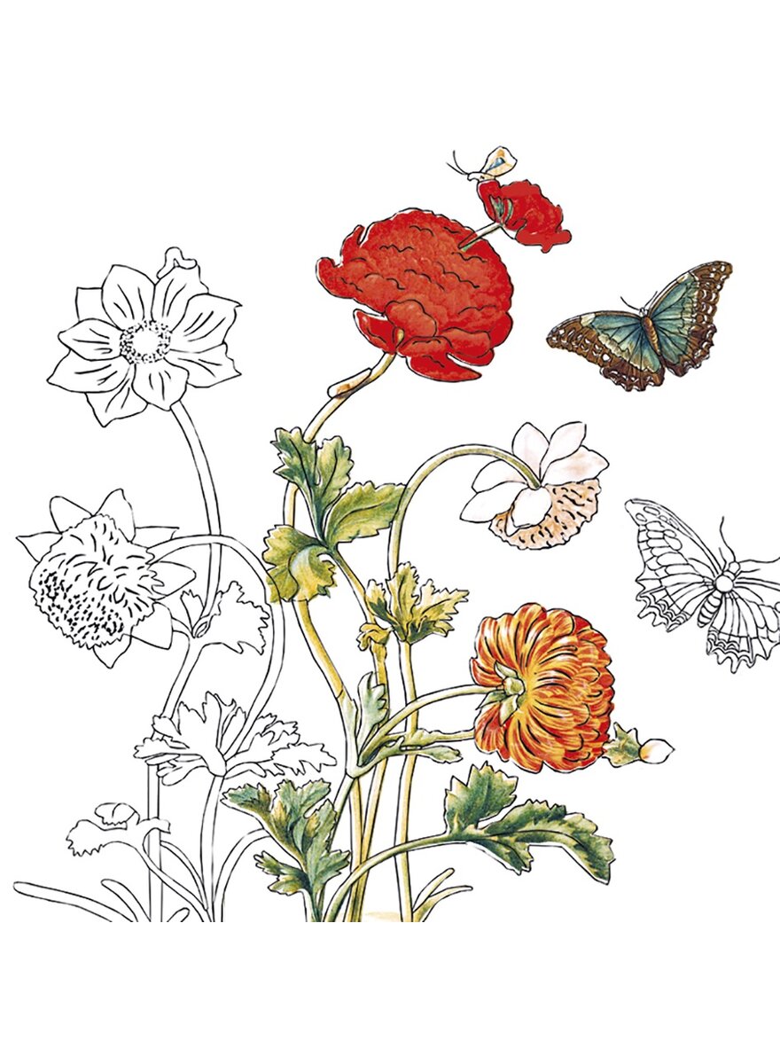 Auf diesem Bild sehen Sie das Produktbild 2 fr AUSMALSET MARIA SIBYLLA MERIAN