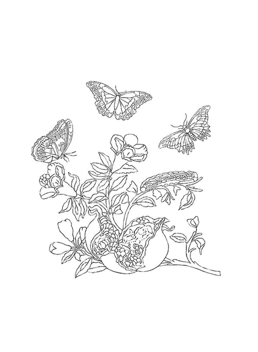 Auf diesem Bild sehen Sie das Produktbild 3 fr AUSMALSET MARIA SIBYLLA MERIAN