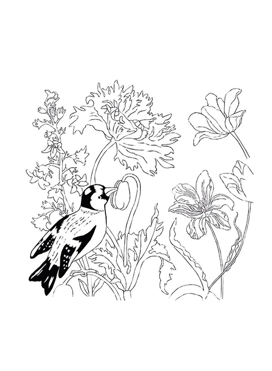 Auf diesem Bild sehen Sie das Produktbild 4 fr AUSMALSET MARIA SIBYLLA MERIAN