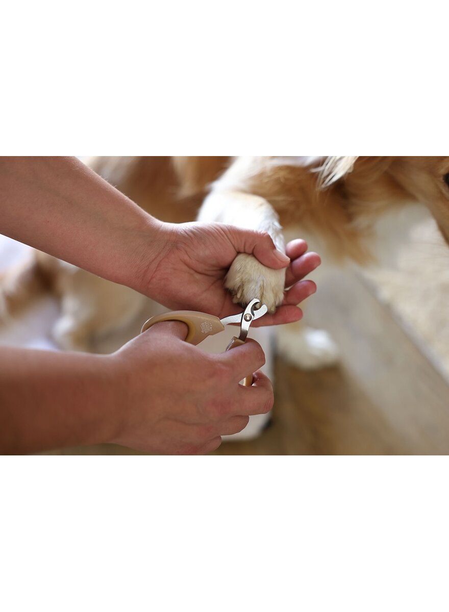 Auf diesem Bild sehen Sie das Produktbild 3 fr KRALLENSCHERE FR HUNDE