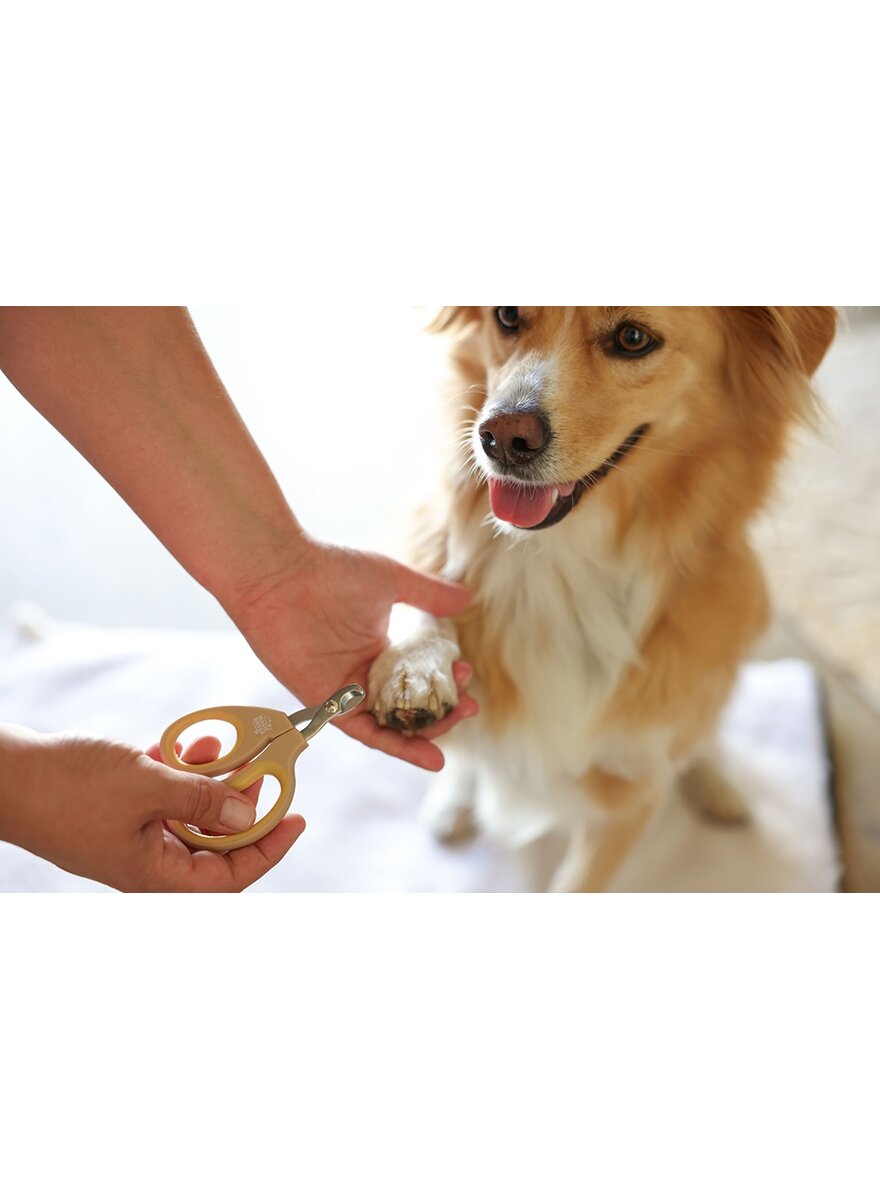 Auf diesem Bild sehen Sie das Produktbild 4 fr KRALLENSCHERE FR HUNDE