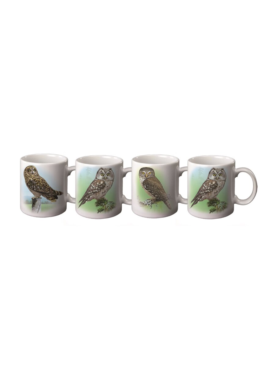 Auf diesem Bild sehen Sie das Produktbild 1 fr KNSTLERBECHER EULEN 4ER-SET MIT 4 VERSCHIEDENEN MOTIVEN