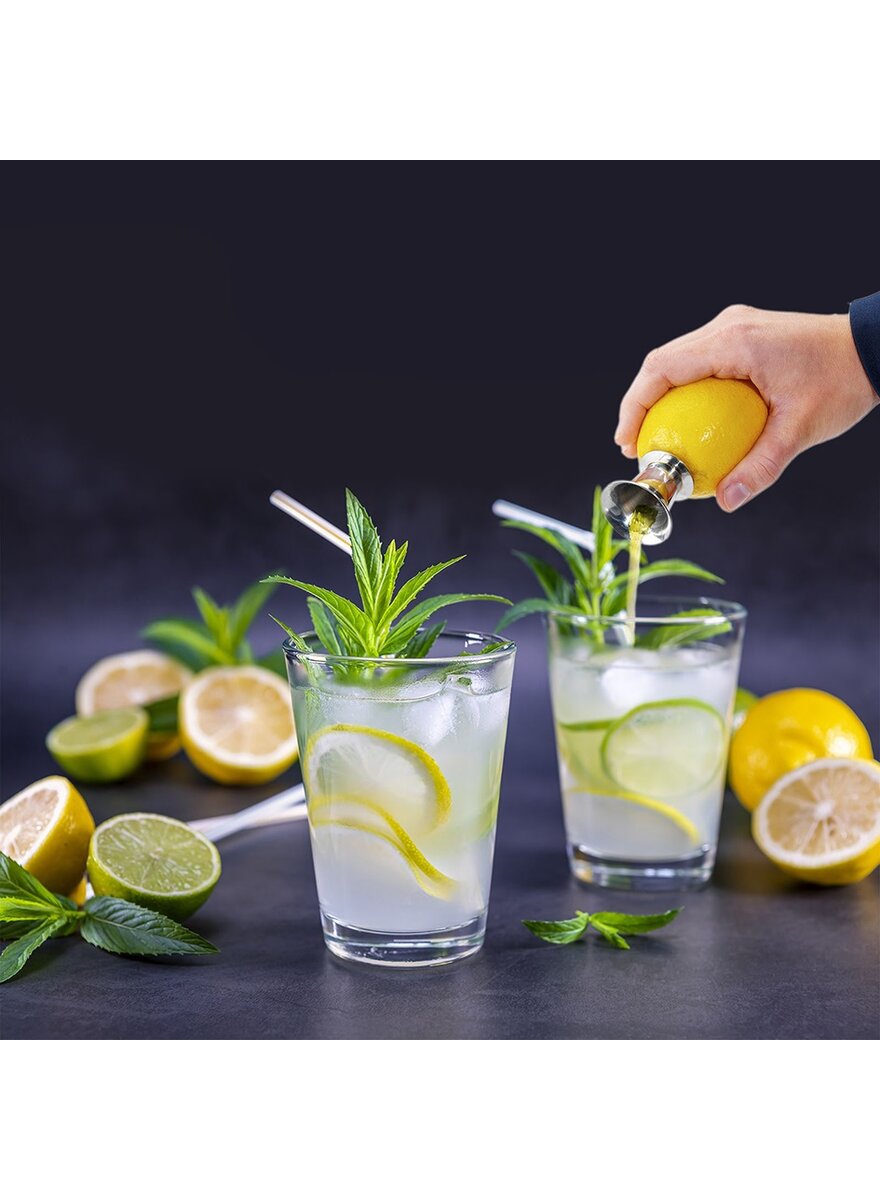 Auf diesem Bild sehen Sie das Produktbild 3 fr ZITRONENAUSGIEER
