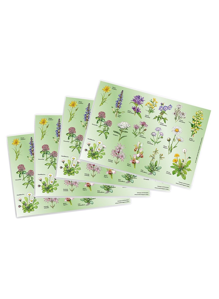 Auf diesem Bild sehen Sie das Produktbild 1 fr TISCHSET WIESENBLUMEN 4ER-SET