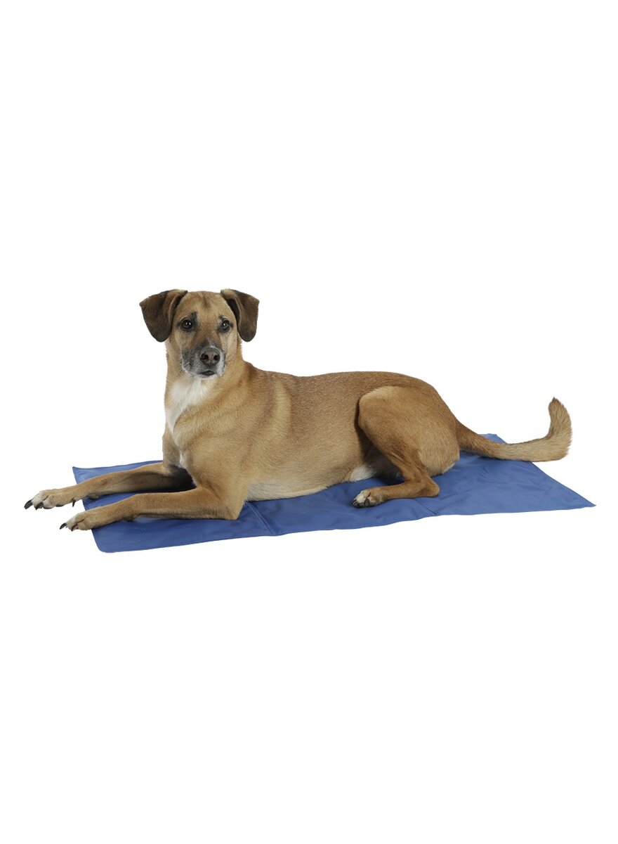Auf diesem Bild sehen Sie das Produktbild 1 f�r K�HLMATTE F�R HUNDE 50 X 90 CM