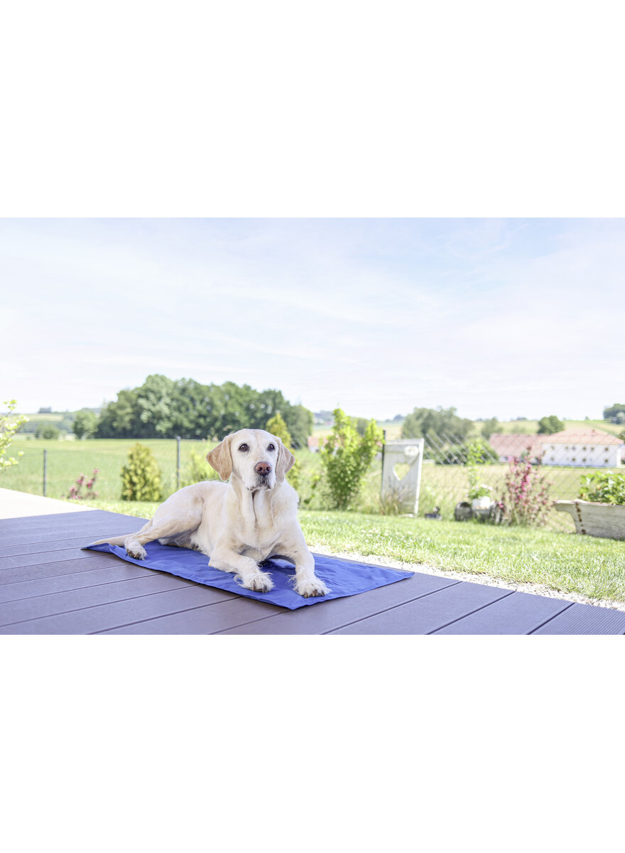 Auf diesem Bild sehen Sie das Produktbild 3 f�r K�HLMATTE F�R HUNDE 50 X 90 CM