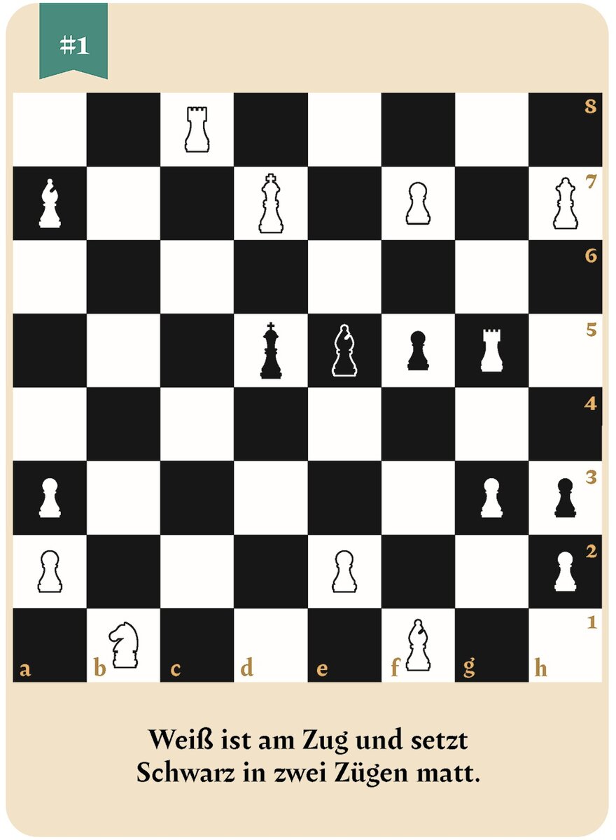 Auf diesem Bild sehen Sie das Produktbild 3 fr DIE GROE BOX DER SCHACHRTSEL