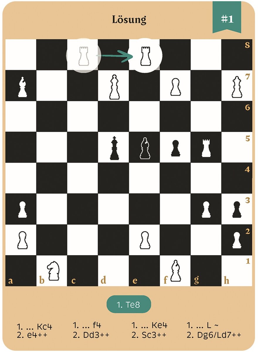 Auf diesem Bild sehen Sie das Produktbild 4 fr DIE GROE BOX DER SCHACHRTSEL