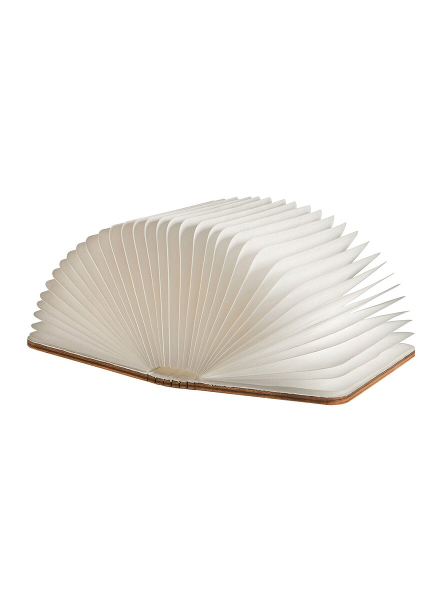 Auf diesem Bild sehen Sie das Produktbild 2 f�r BUCH-LAMPE