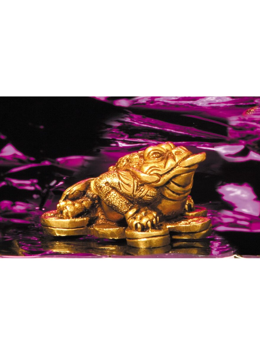 Auf diesem Bild sehen Sie das Produktbild 1 f�r DREIBEINIGER GELDFROSCH