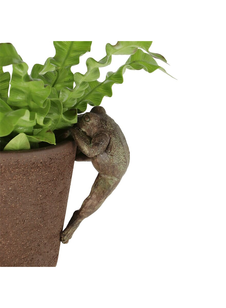 Auf diesem Bild sehen Sie das Produktbild 2 f�r TOPFH�NGER FROSCH