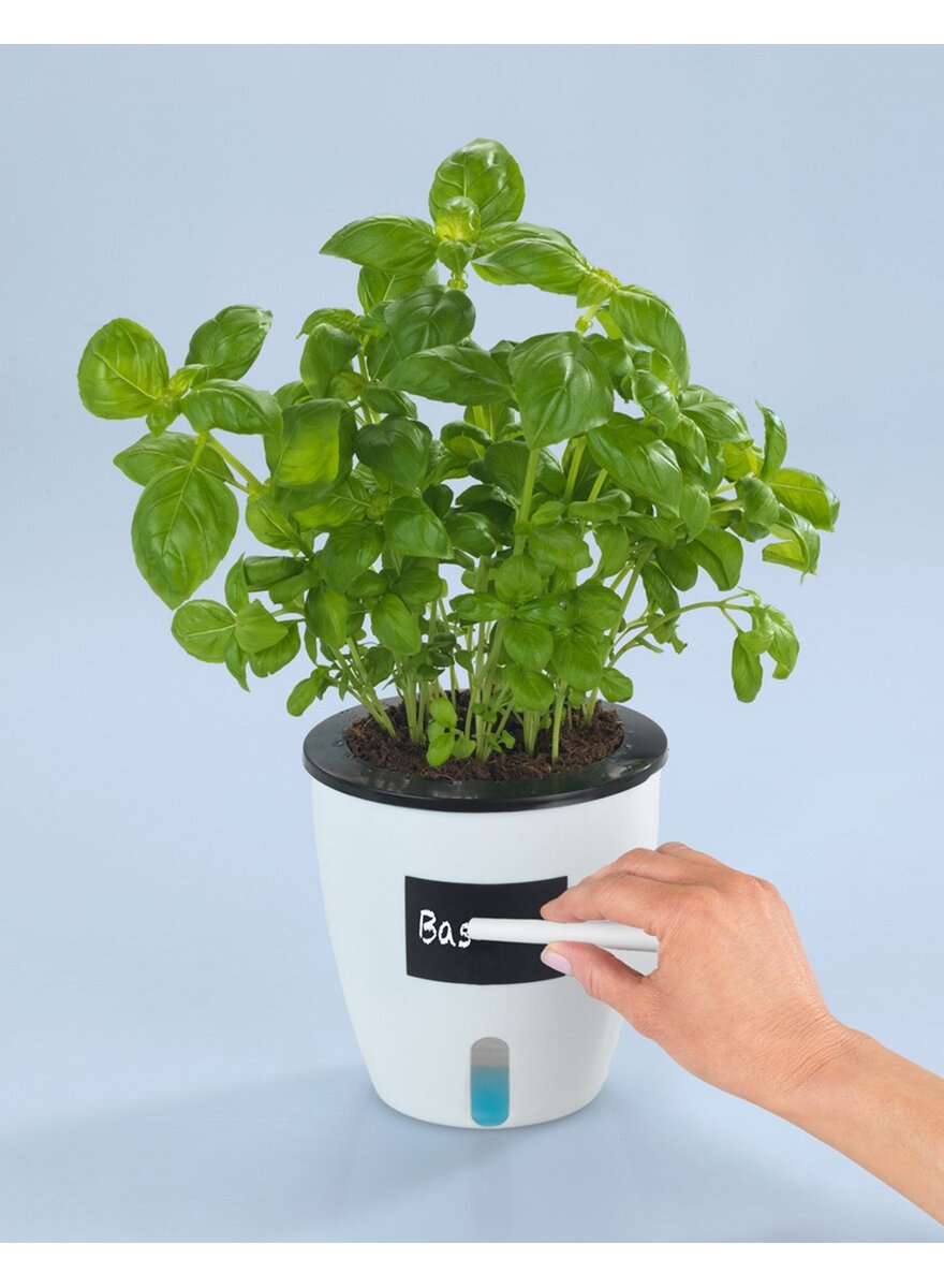 Auf diesem Bild sehen Sie das Produktbild 4 f�r SELBST BEW�SSERNDE PFLANZT�PFE � 13 CM - 3ER SET