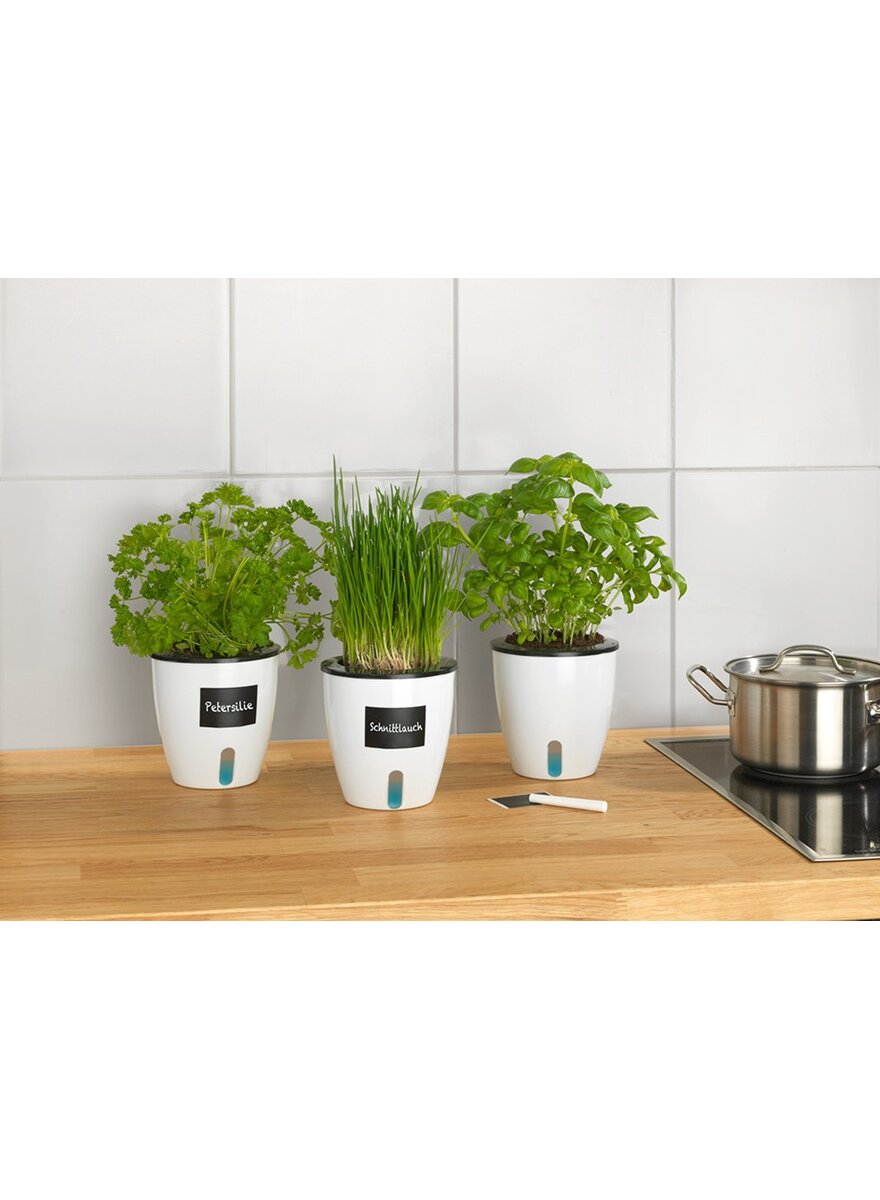 Auf diesem Bild sehen Sie das Produktbild f�r 5 SELBST BEW�SSERNDE PFLANZT�PFE � 13 CM - 3ER SET