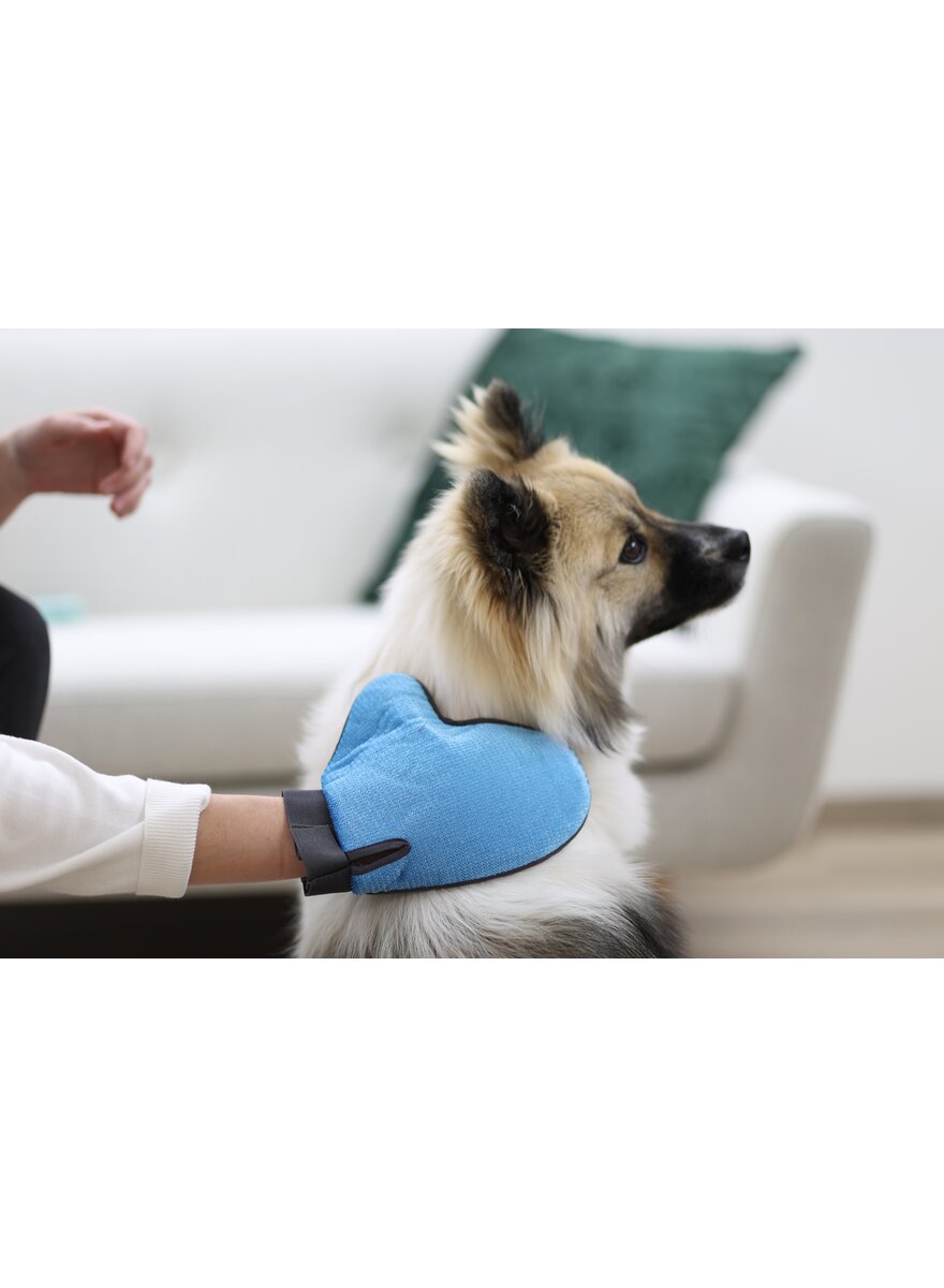 Auf diesem Bild sehen Sie das Produktbild 3 f�r FELLPFLEGE- UND FUSSELHANDSCHUH