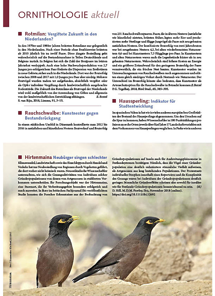 Auf diesem Bild sehen Sie das Produktbild 1 fr ORNITHOLOGIE AKTUELL FEBRUAR