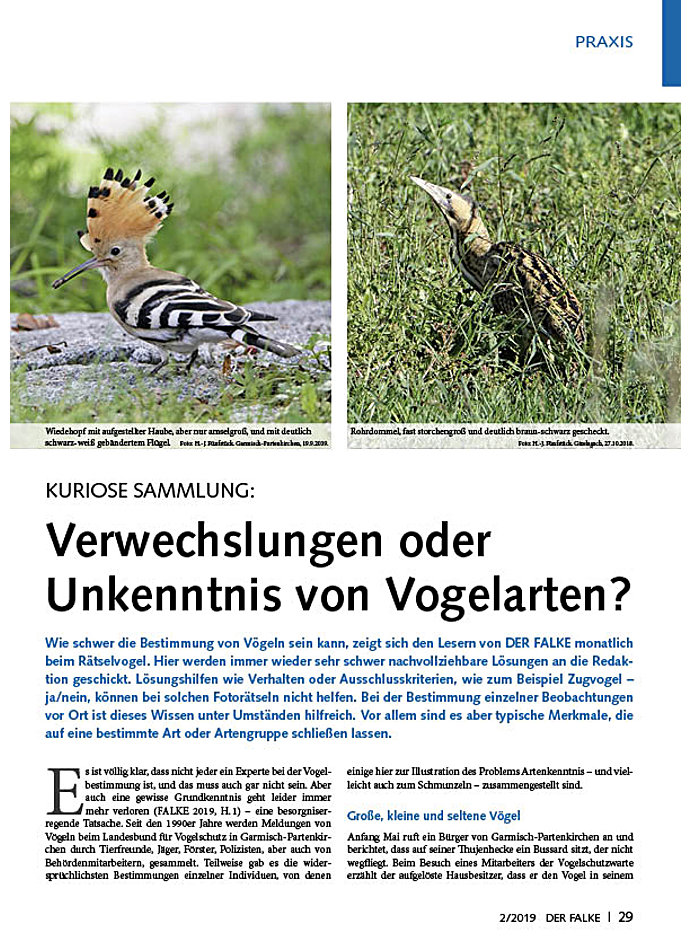 KURIOSE SAMMLUNG: VERWECHSLUNG ODER UNKENNTNIS VON VOGELARTEN