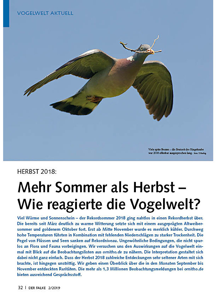 HERBST 2018: MEHR SOMMER ALS HERBST - WIE REAGIERTE DIE VOGELWELT