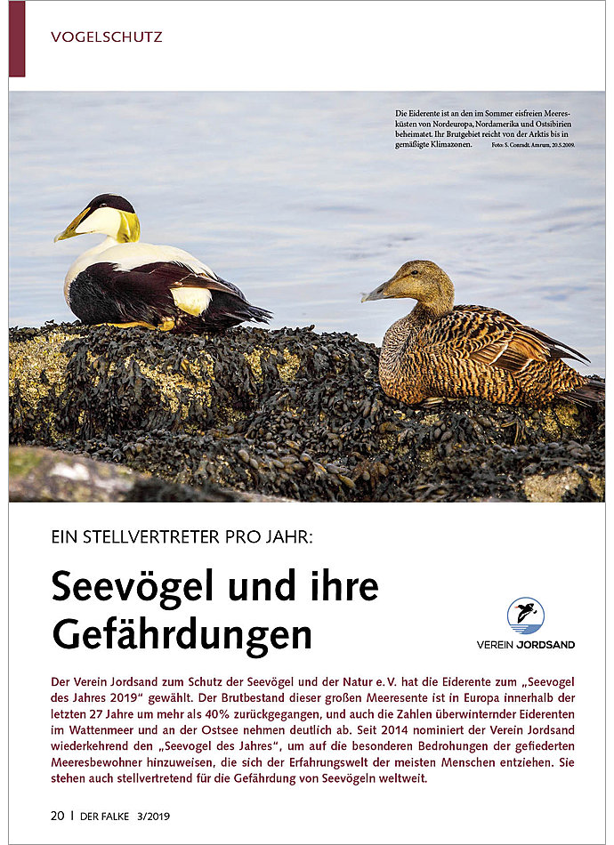 Auf diesem Bild sehen Sie das Produktbild 1 fr EIN STELLVERTRETER PRO JAHR: SEEVGEL UND IHRE GEFHRDUNGEN