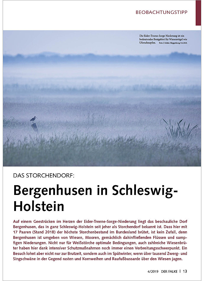 Auf diesem Bild sehen Sie das Produktbild 1 fr DAS STORCHENDORF: BERGENHUSEN IN SCHLESWIG-HOLSTEIN