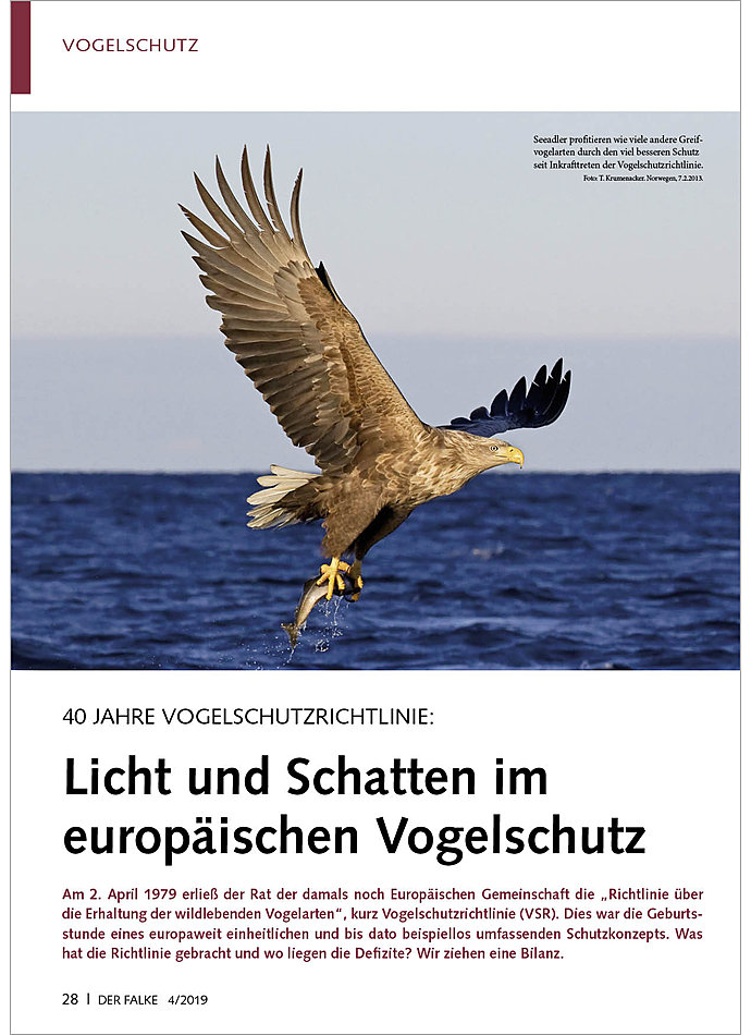 40 JAHRE VOGELSCHUTZRICHTLINIE LICHT UND SCHATTEN IM EUROPISCHEN VOGELSCHUTZ