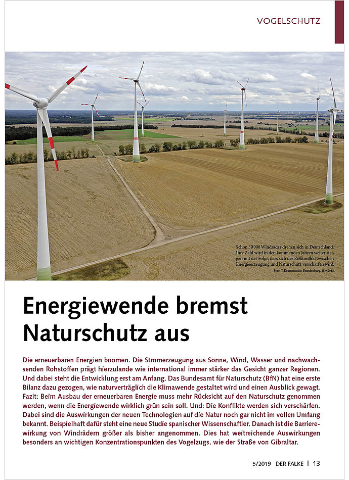 ENERGIEWENDE BREMST NATURSCHUTZ AUS