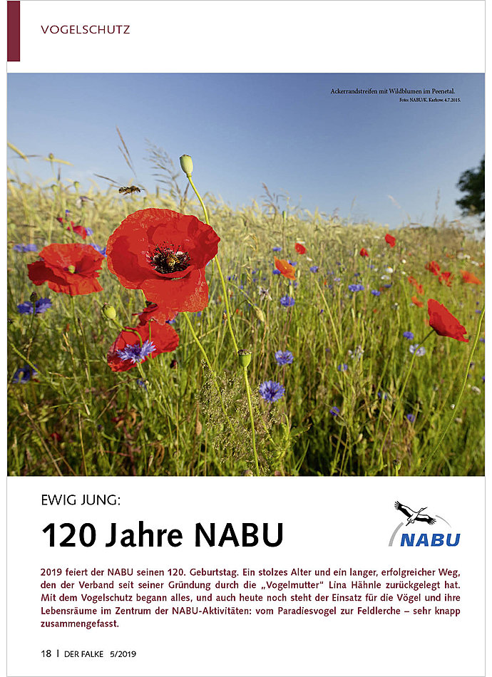 EWIG JUNG: 120 JAHRE NABU