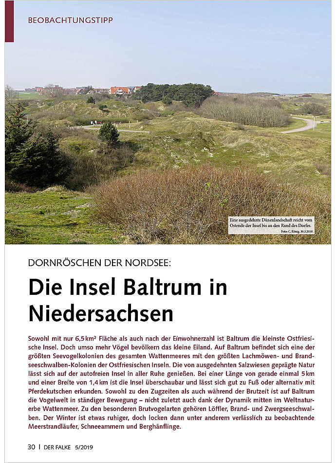 DORNRSCHEN DER NORDSEE: DIE INSEL BALTRUM IN NIEDERSACHSEN