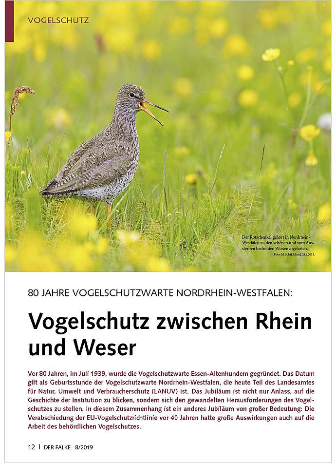 80 JAHRE VOGELSCHUTZWARTE NORD RHEIN-WESTFALEN: VOGELSCHUTZ ZWISCHEN RHEIN UND WESER