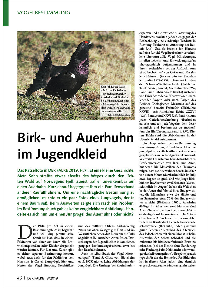 BIRK- UND AUERHUHN IM JUGEND KLEID