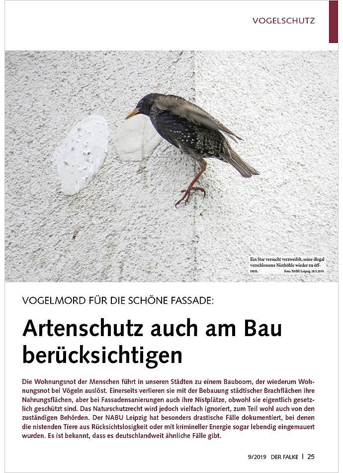 VOGELMORD FR DIE SCHNE FASSADE: ARTENSCHUTZ AUCH AM BAU BERCKSICHTIGEN