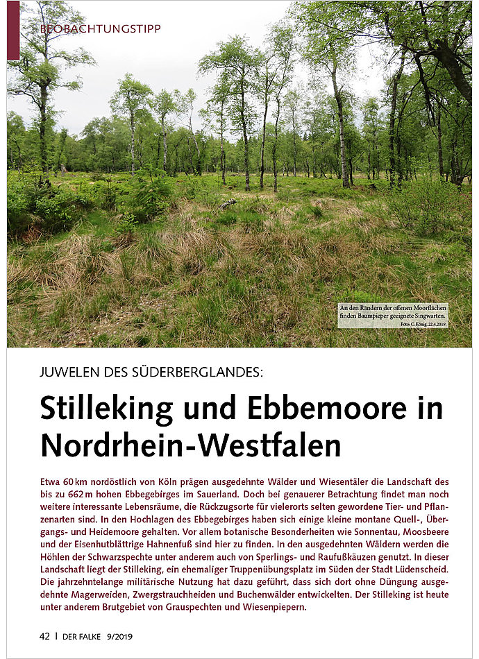 JUWELEN DES SDERBERGLANDES: STILLEKING UND EBBEMOORE IN NORDRHEIN-WESTFALEN