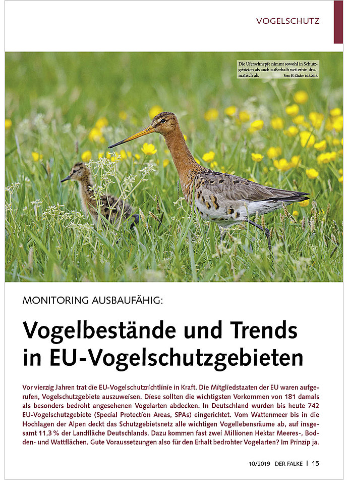 MONITORING AUSBAUFHIG: VOGEL BESTNDE UND TRENDS IN EU- VOGELSCHUTZGEBIETEN