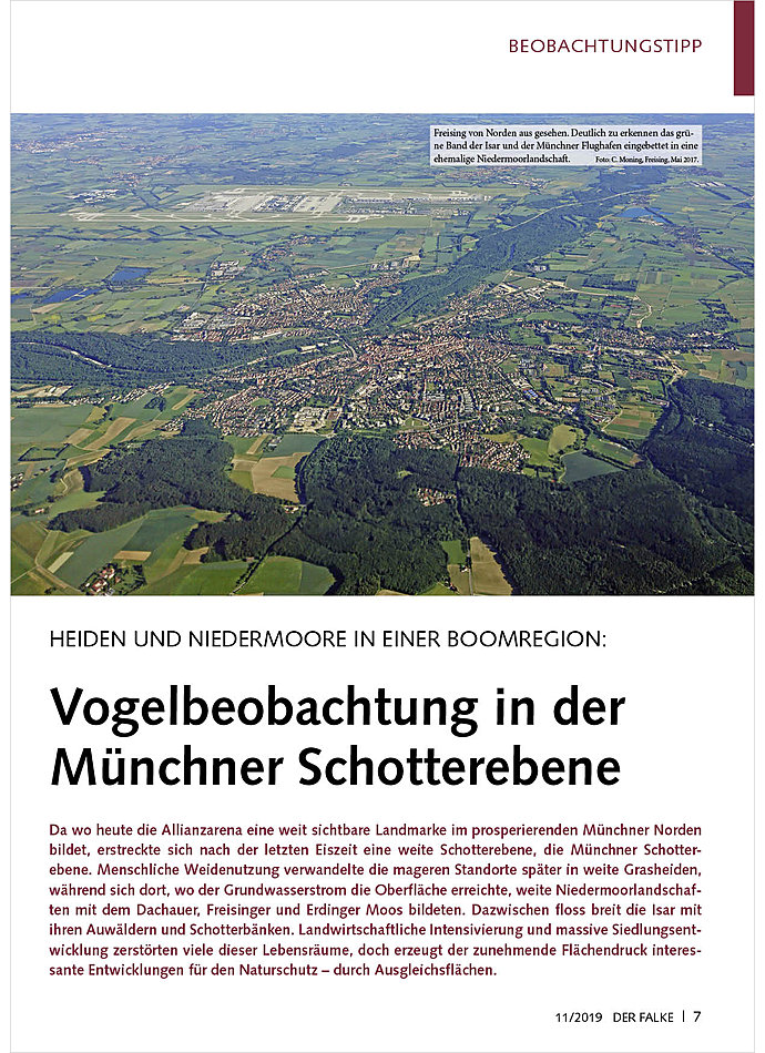 HEIDEN UND NIEDERMOORE IN EINE R BOOMREGION: VOGELBEOBACHTUNG IN DER MNCHNER SCHOTTEREBENE