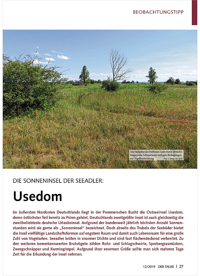 DIE SONNENINSEL DER SEEADLER: USEDOM