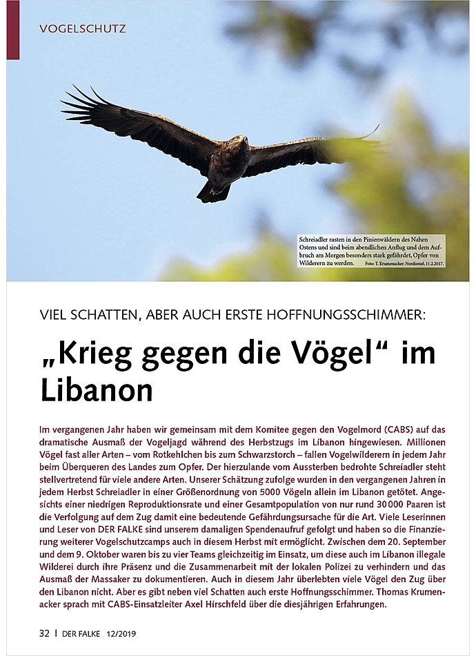 VIEL SCHATTEN, ABER AUCH ERSTE HOFFNUNGSSCHIMMER: KRIEG GEGEN DIE VGEL IM LIBANON