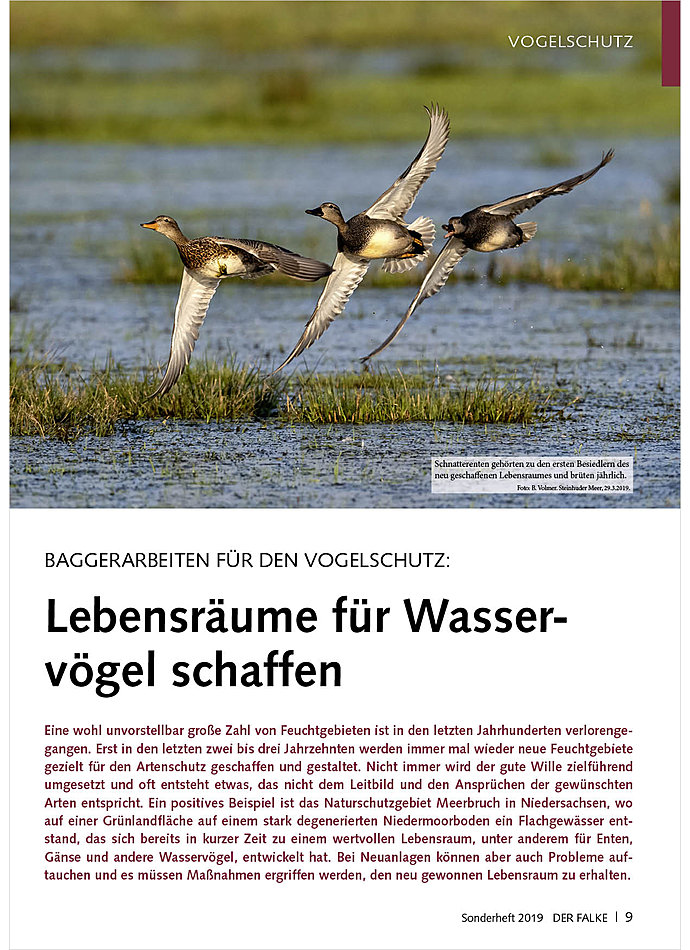 BAGGERARBEITEN FR DEN VOGEL- SCHUTZ: LEBENSRUME FR WASSERVGEL SCHAFFEN