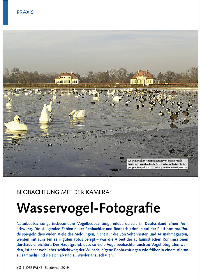 BEOBACHTUNG MIT DER KAMERA: WASSERVOGEL-FOTOGRAFIE