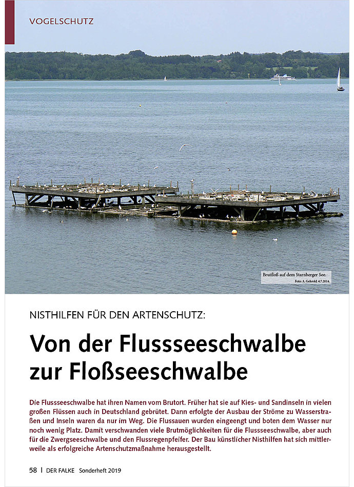 NISTHILFEN FR DEN ARTENSCHUTZ : VON DER FLUSSSEESCHWALBE ZUR FLOSSSEESCHWALBE