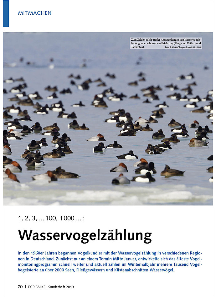 1, 2, 3, ... 100, 1000 ...: WASSERVOGELZHLUNG