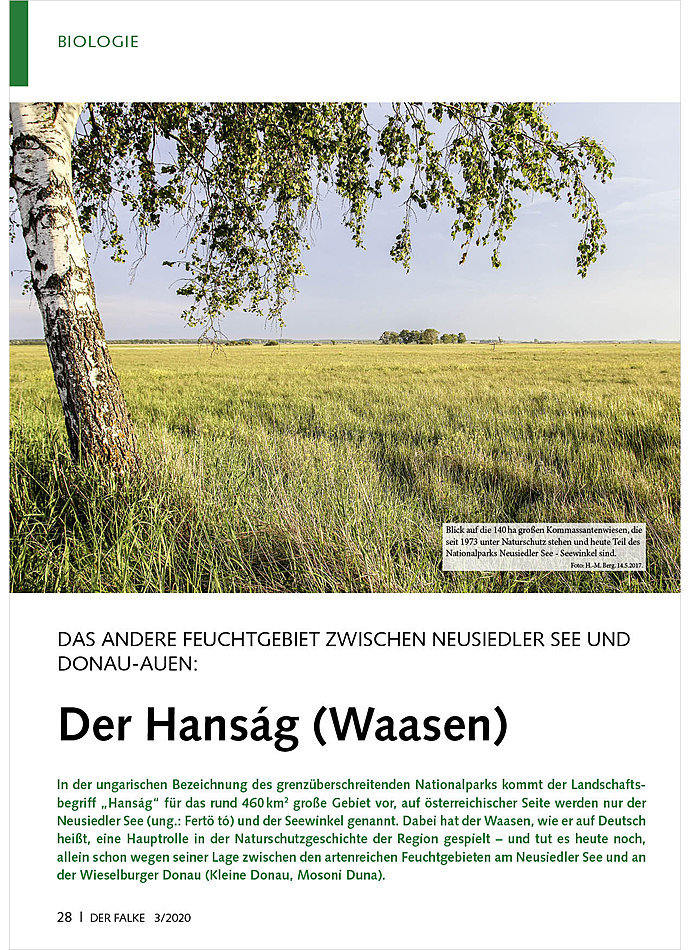 DAS ANDERE FEUCHTGEBIET ZWISCH EN NEUSIEDLER SEE UND DONAU- AUEN: DER HANSG (WAASEN)