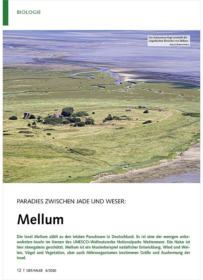 PARADIES ZWISCHEN JADE UND WESER: MELLUM