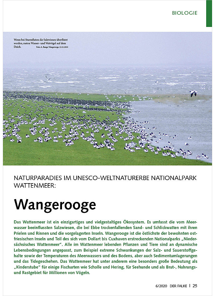 NATURPARADIES IM UNESCO-WELT NATURERBE NATIONALPARK WATTEN MEER: WANGEROOGE